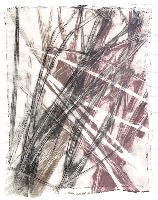 "Beachgrass"