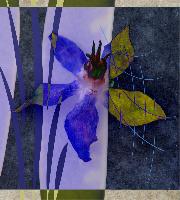 "Blue Borage Collage"