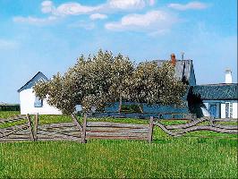 "Picasso Fence Company"