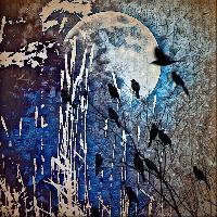 "A Rustling Under the Blue Moon"