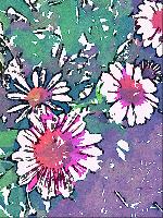"Joyful Exuberance"