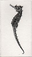 "Seahorse"
