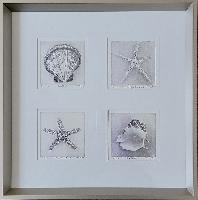 "Set of 4 Sea Shells"