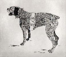 "Watchdog"